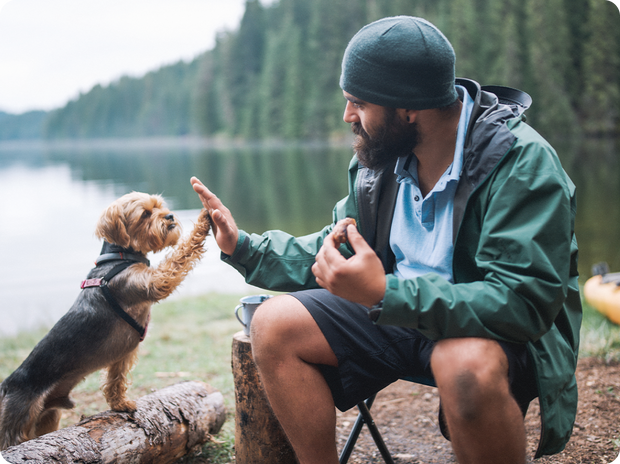 Why should you give your pet supplements?