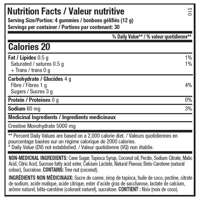 ANS Creatine Gummies 120 gummies