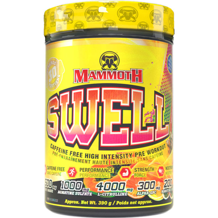 Mammoth Swell 390g