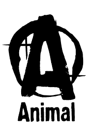 Animal Nutrition